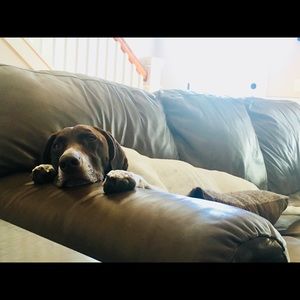 Meet your Posher, Audrey